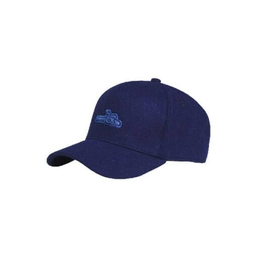 STIHL cap Icon blue (1)